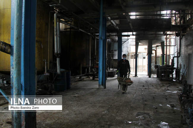 بازدید اعضای شورای شهر شیراز از خط تولید کارخانه روغن نباتی