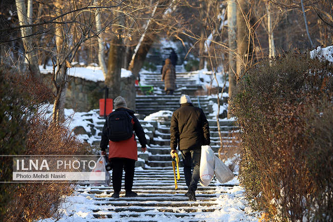 برف زمستانی پارک جمشیدیه