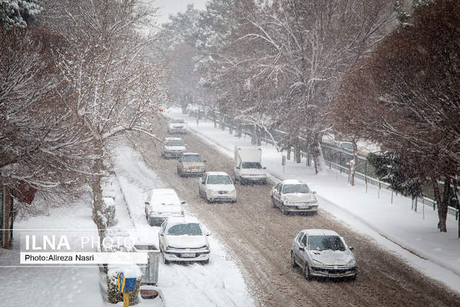 قزوین در آغوش برف