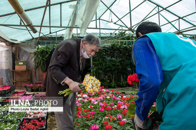 بازار گل شهید محلاتی در آستانه سال ۱۴۰۱