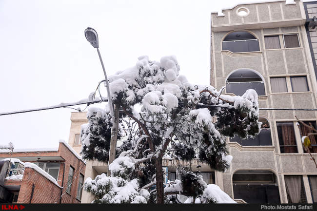 سوءمدیریتی که لبخند شادی را بر لبان تهرانی‌ها خشکاند