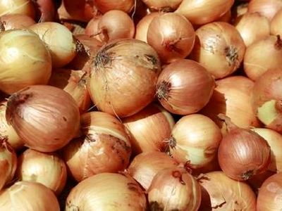 آیا پیاز برای درمان التهاب مری مفید است؟