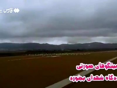 فلامینگوها در فرودگاه بجنورد فرود آمدند! + فیلم