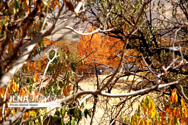  طبیعت پاییزی روستای سرسختی علیا