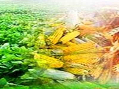بهره برداری از دو طرح کشاورزی و ورزشی در جوانرود
