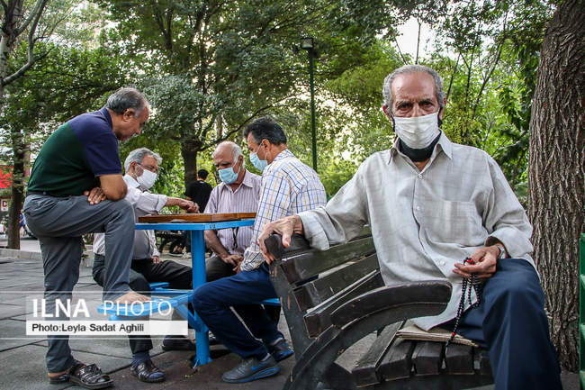 بازنشستگان گنجینه هایی مملو از مهر و تجربه