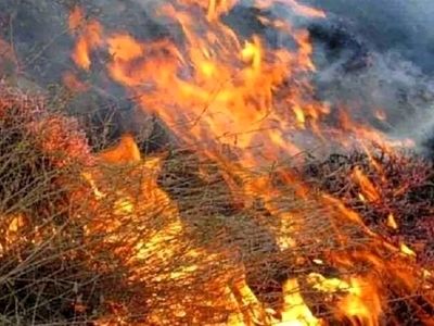 مهار آتش در جنگل‌های مازندران به دلیل کمبود تجهیزات با تأخیر مواجه شد/اطلاعی از میزان خسارت وارد شده در دست نیست