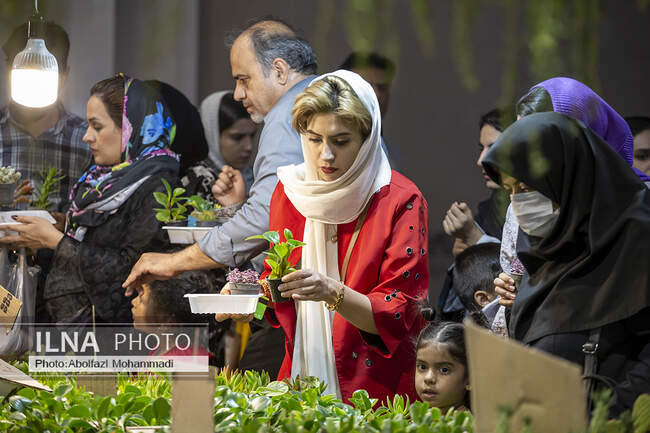 هشتمین نمایشگاه گل و گیاه در یزد