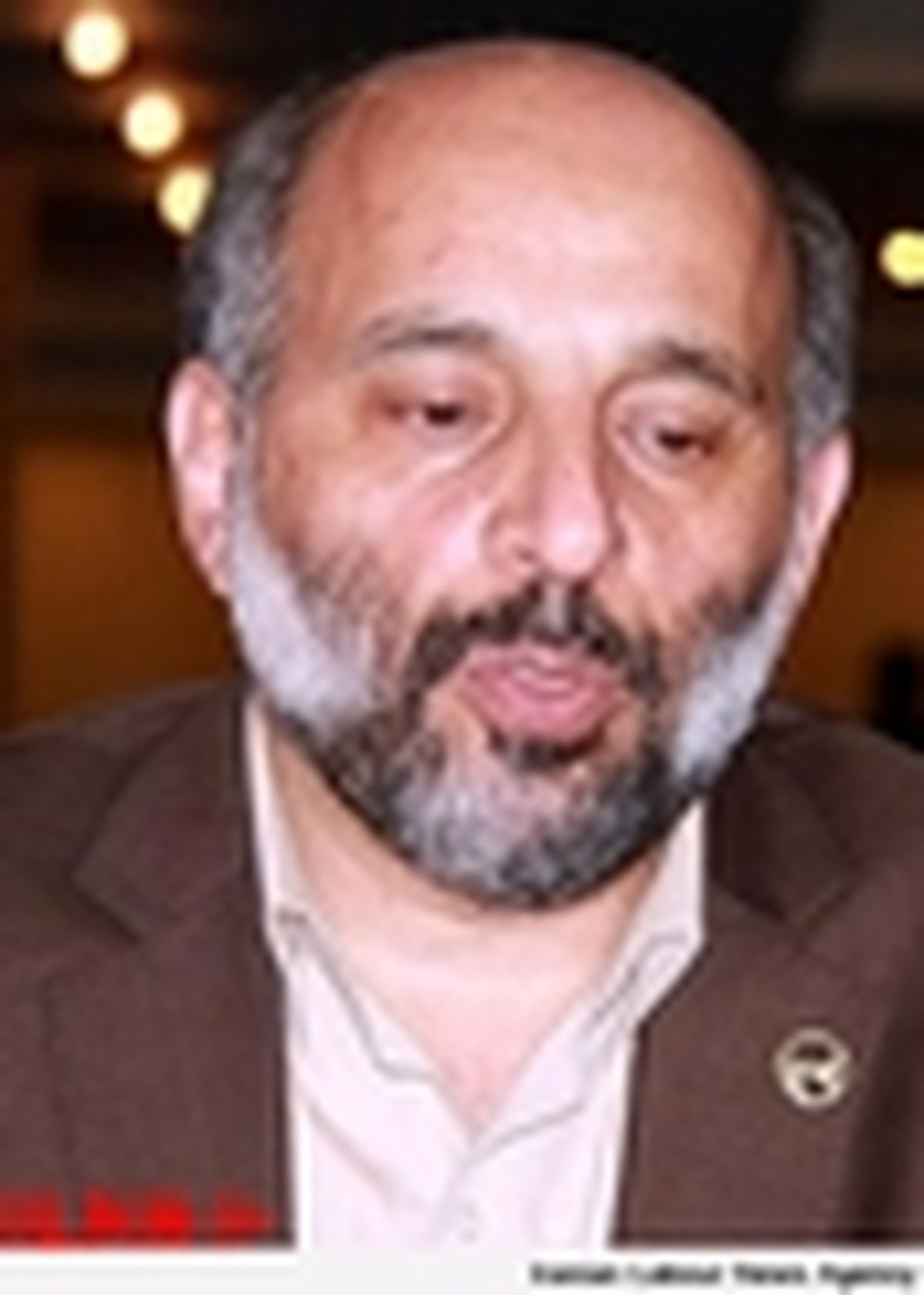 یکی از عوامل اصلی خاموشی‌ها سقوط شاخه درختان روی شبکه برق بود