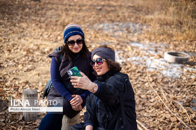 باغستان سنتی؛ میراث کهن مردم قزوین 