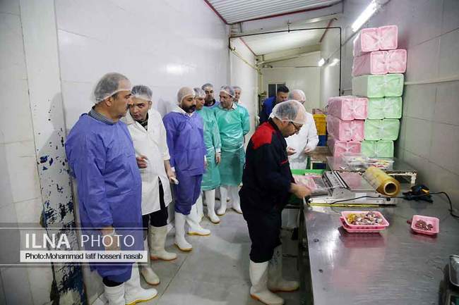 بازدید خبرنگاران از کشتارگاه مرغ آبیدر سنندج 