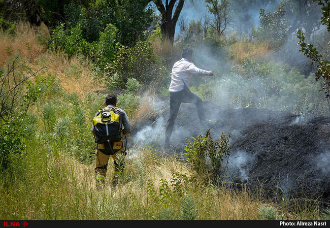 آتش در باغستان های سنتی قزوین