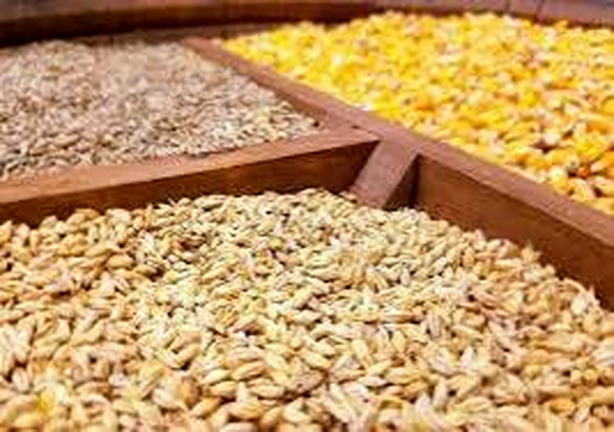 سقف قیمت ارزی کالاهای اساسی و نهاده ها ابلاغ شد