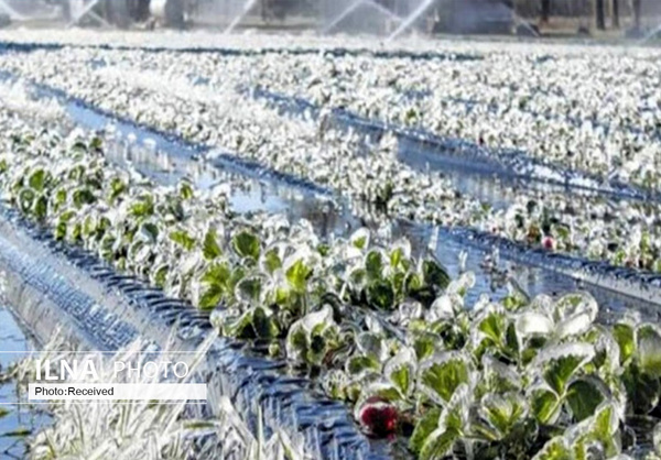 تداوم سرما و یخبندان شبانه در یزد/ آلودگی هوا در مناطق صنعتی و پرتردد