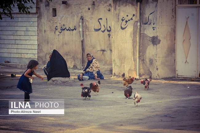 از زمین هادی آباد تا آسمان پونک قزوین؛ فاصله 10 کیلومتر