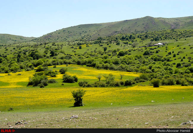 طبیعت بهاری دیلمان استان گیلان