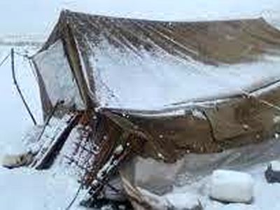 احتمال  مرگ 8 نفر  و ۴۰۰ دام عشایری چُرام بدلیل بارش شدید برف/ تا اتفاق تلخی رخ نداده چاره ای بیندیشید