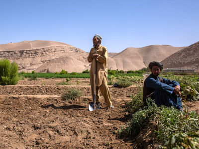 نزول جایگاه ایران در تجارت با کابل/ سختگیری‌ها مانع کشت فراسرزمینی در افغانستان می‌شود