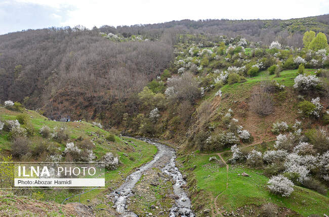طبیعت بهاری رودبار گیلان