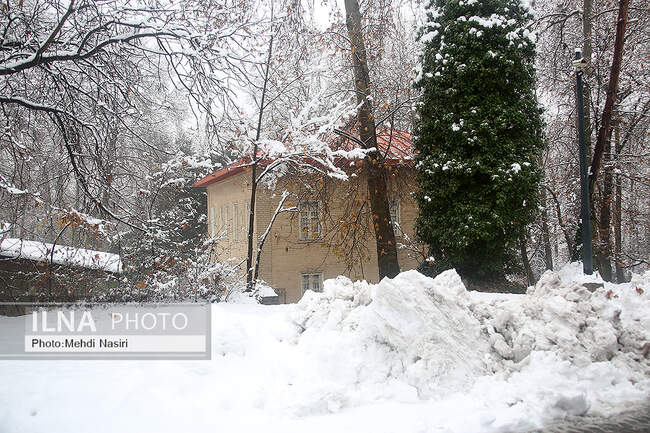 برف زمستانی در سعدآباد