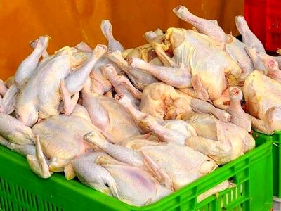 توزیع ۴۰۰ تن مرغ منجمد طرح تنظیم بازار در آذربایجان غربی