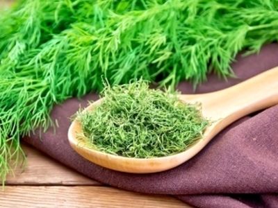 چگونه شوید را سبز و خوشرنگ خشک کنیم