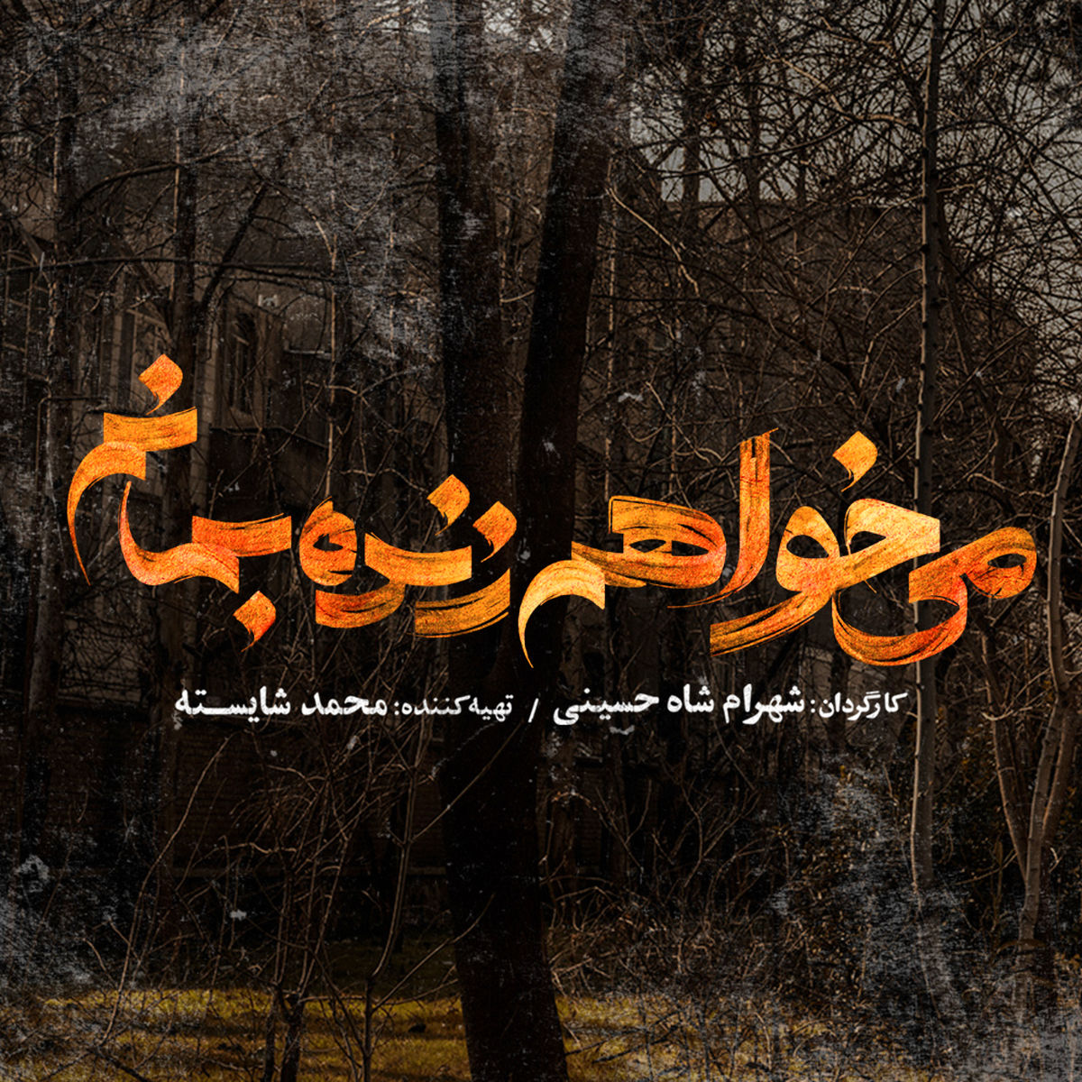 «می‌خواهم زنده بمانم» سریال جدید نمایش خانگی/ یک عاشقانه دهه شصتی