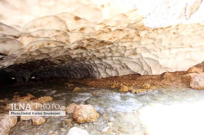 IMG_1196 copy 2