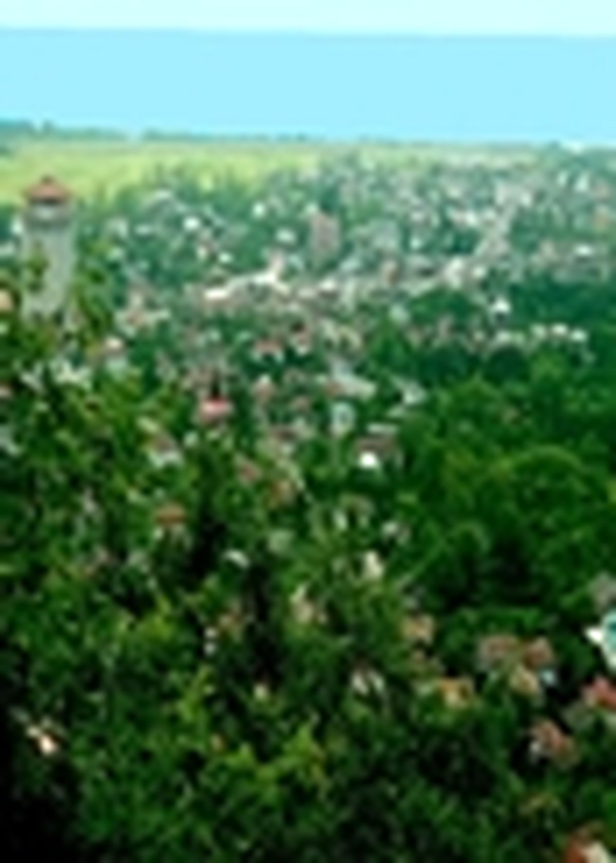 راه اندازی ۳ هنرستان گردشگری در مازندران