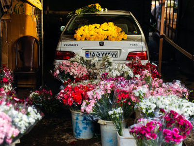 بازار گل محلاتی تعطیل شد