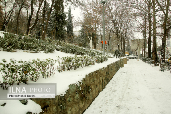 آغاز بارش باران و برف در تهران از فردا شب