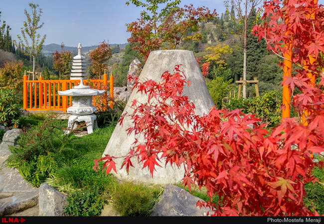 گزارش اختصاصی ایلنا از پاییز در باغ بوتانیکال تفلیس