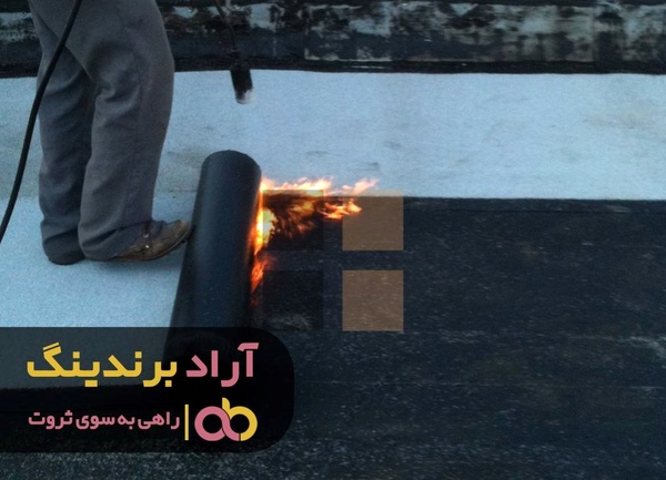 
مسیری که درآمدم را افزایش داد