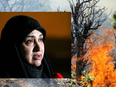 ضعف مدیریت در اطفای حریق جنگل‌های هیرکانی موج می‌زند/ کشور مسئولان عملیاتی و پای کار می‌خواهد
