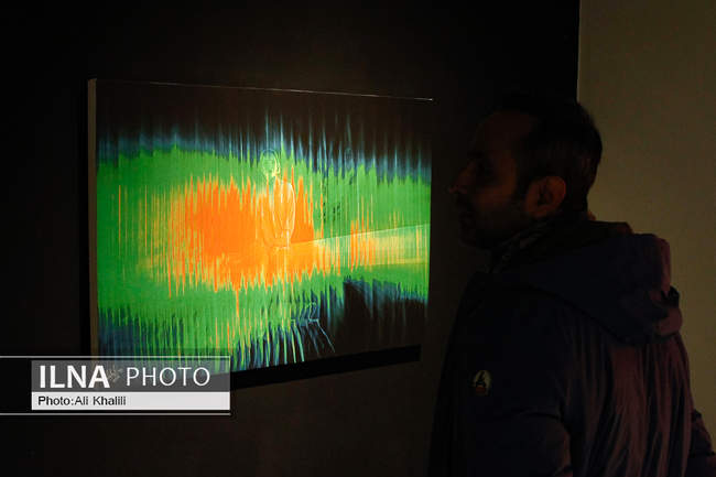 افتتاحیه نمایشگاه عکس «باله در تاریکی»