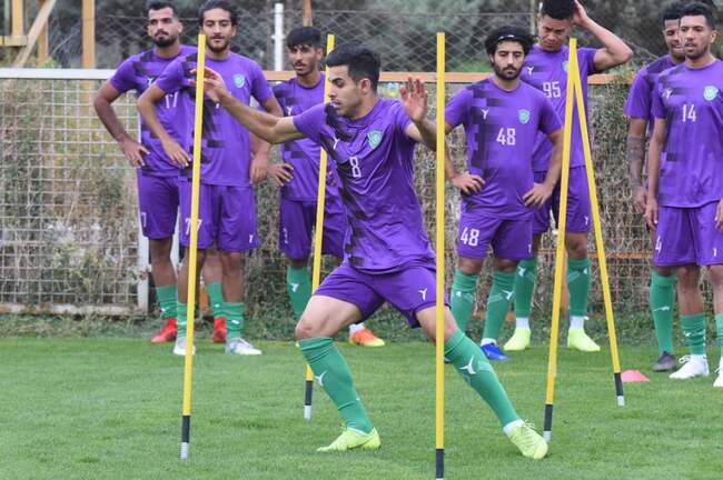 شاهین ثاقبی