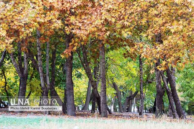 IMG_1330 copy