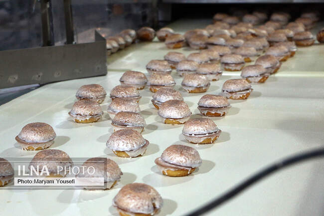 بازدید خبرنگاران از پنج پروژه مشارکتی بانک توسعه تعاون در آذربایجان شرقی