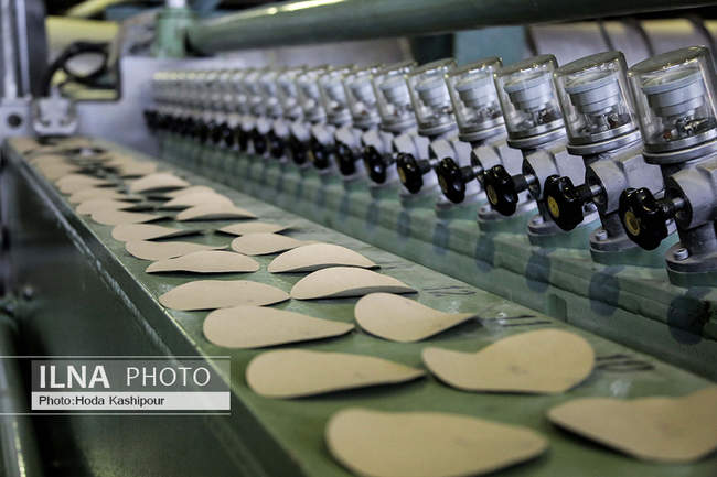 فعالیت کارخانه چوب و کاغذ مازندران با وجود مشکلات