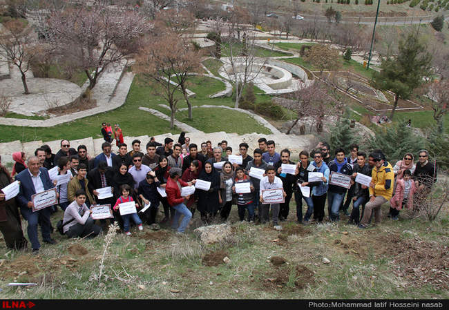 نهال کاری در دامنه کوه آبیدر سنندج 