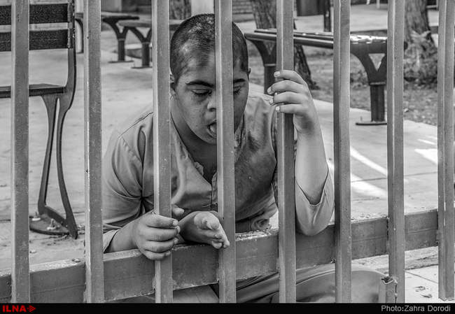 تنهایی پر هیاهو / استان قم