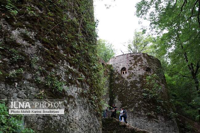 IMG_2073 copy