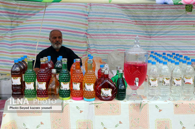 جشنواره برداشت گل محمدی در روستای عنصرود