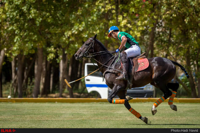 نخستین دوره رقابتهای چوگان جام شریان / ایران - آرژانتین