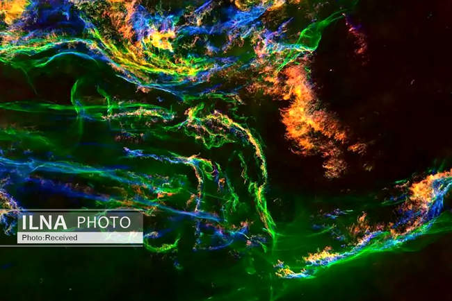 برندگان رقابت بین‌المللی «عکاس نجومی سال ۲۰۲۵»