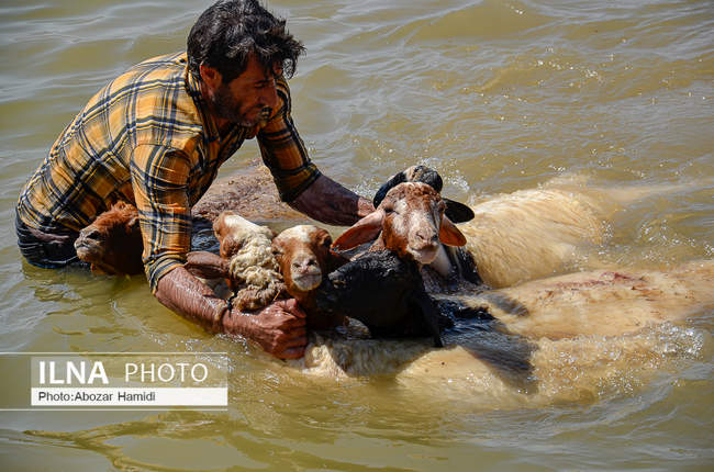 آئین سنتی مالشوران در کلیشم عمارلوری گیلان 
