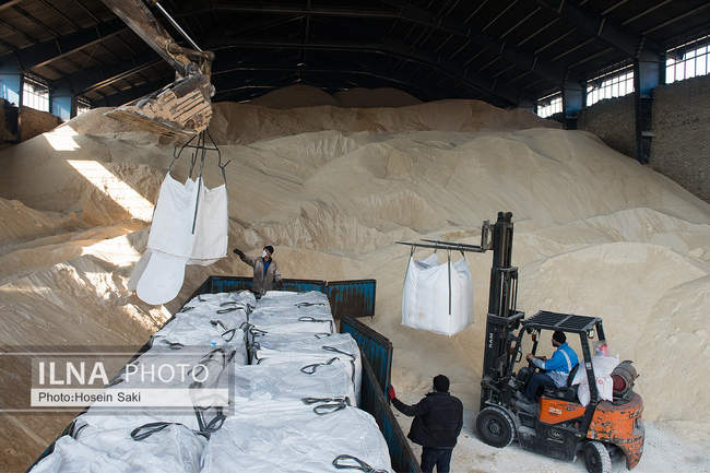 تولید شکر از چغندر قند 