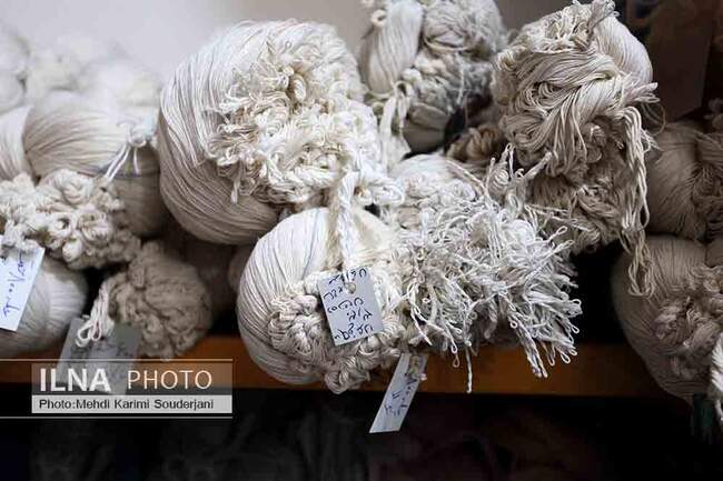 IMG_4655 copy
