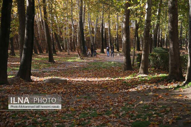 پاییز هزار رنگ کردستان 