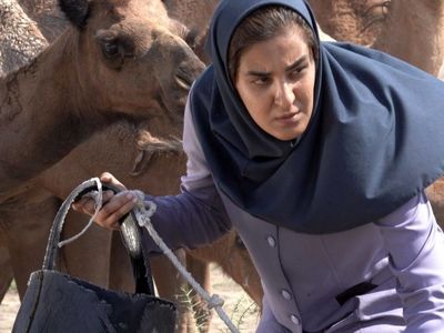 راهیابی «زندگی و زندگی» به جشنواره ماربلا اسپانیا